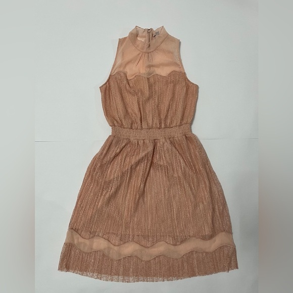 Brand New delicate lace Guess dress - size small - Picture 2 of 6